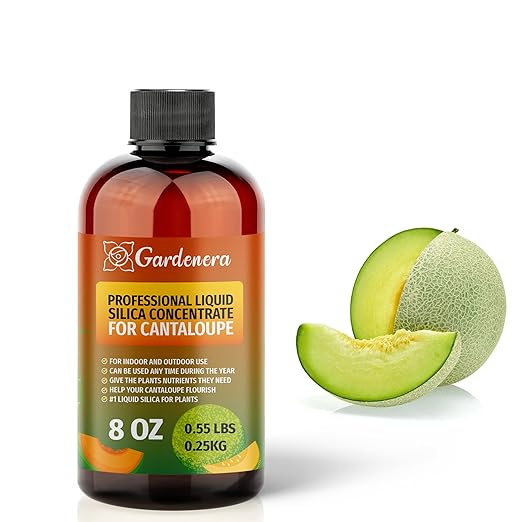𝐏𝐑𝐄𝐌𝐈𝐔𝐌 Liquid Silica Plant Supplement - 8oz (250mL) - Cantaloupe Plants Liquid Silica Boost Fertilizer - Stronger Stems & Healthy Leaves for Indoor & Outdoor Plants (Makes 45 Gallons)