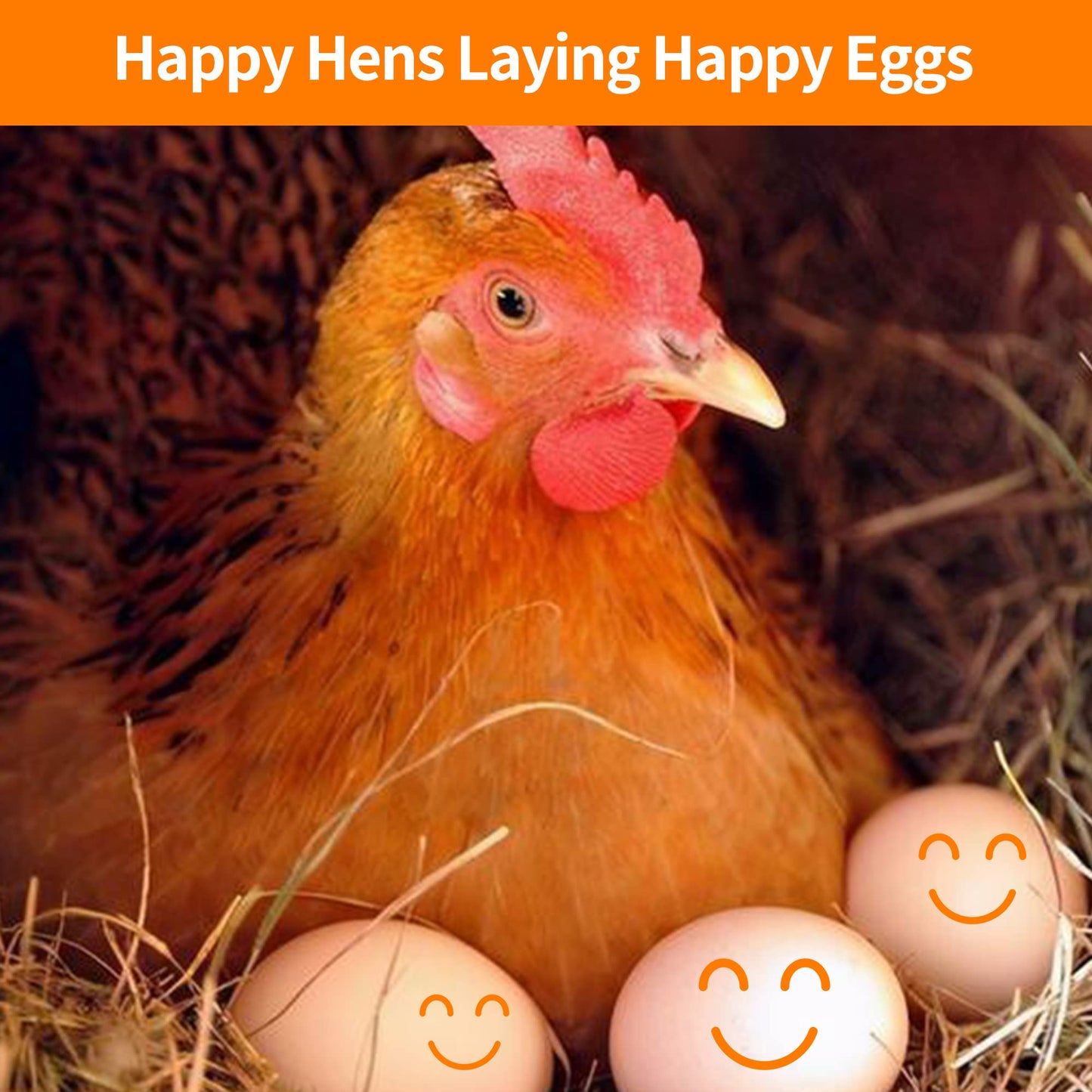 YIFULOWA Chicken Nesting Box Herbs 20oz Vacuum-Packed, Natural 6 Dried Herbs for Chicken Coop Freshness, Healthy Hens, Optimal Egg Production and Reduced Stress