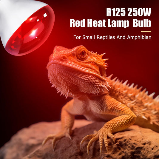 REPTI HOME 250W Infrared Heat Lamp for Chicken, Red Heat Light Bulb R125 2 Pack, Heat Lamp Bulb for Chick Croop, Reptiles, Pets, Food
