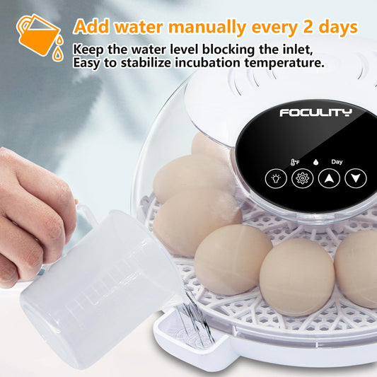 FOCULITY Egg Incubators for Hatching Eggs with Smart Automatic Turning Small Poultry Duck Quail 12 Eggs Chicken Incubator Temperature Days Control Humidity Display Candler Hatcher Machine, Fahrenheit