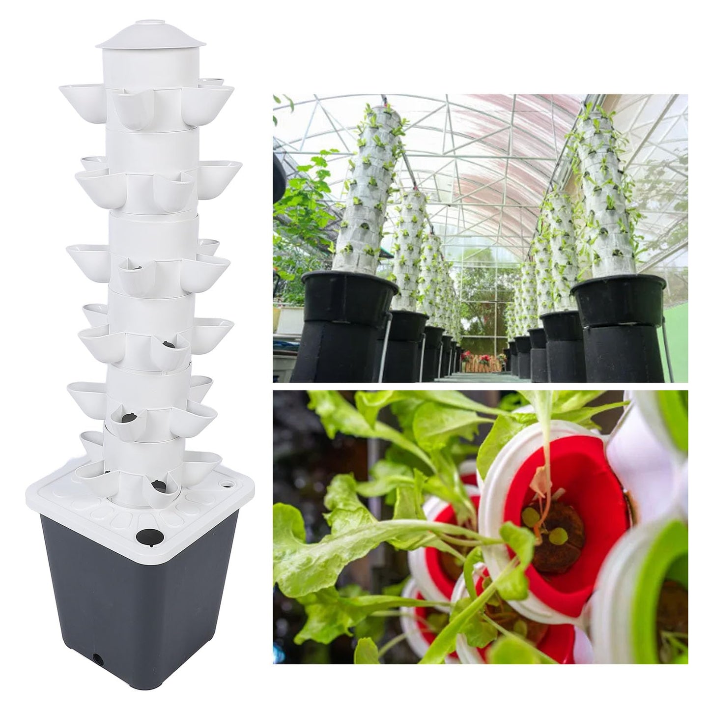 GOTOTOP Hydroponics Growing System, 30 Plants Indoor Vertical System Kit,Hydroponic Germination Kit, Nursery Germination Kit for Gardening Lover Including