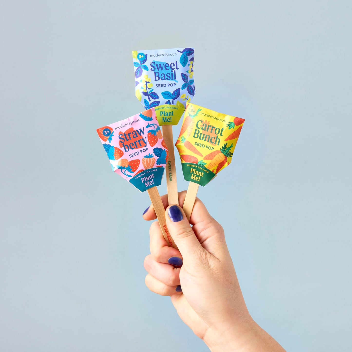 Modern Sprout Seed Pops - Organic Non-GMO Carrot, Strawberry & Basil Seeds for Planting - Fun Family Activity - Ideal for Indoor & Outdoor - Playful Gift for Kids, Adults and Plant Lovers (Pack of 12)