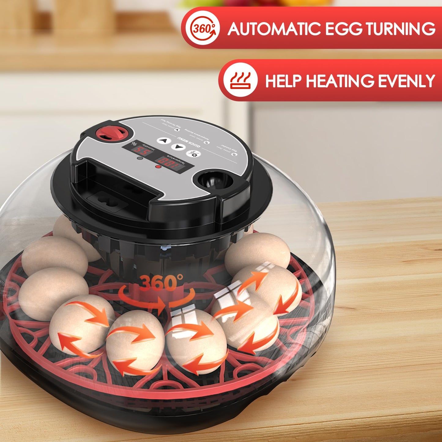 Incubators for Hatching Eggs Automatic Egg Incubator with Temperature Control Humidity Display 12 Egg Capacity for Chicken Duck Goose Eggs Digital Display Auto Turner 360° View