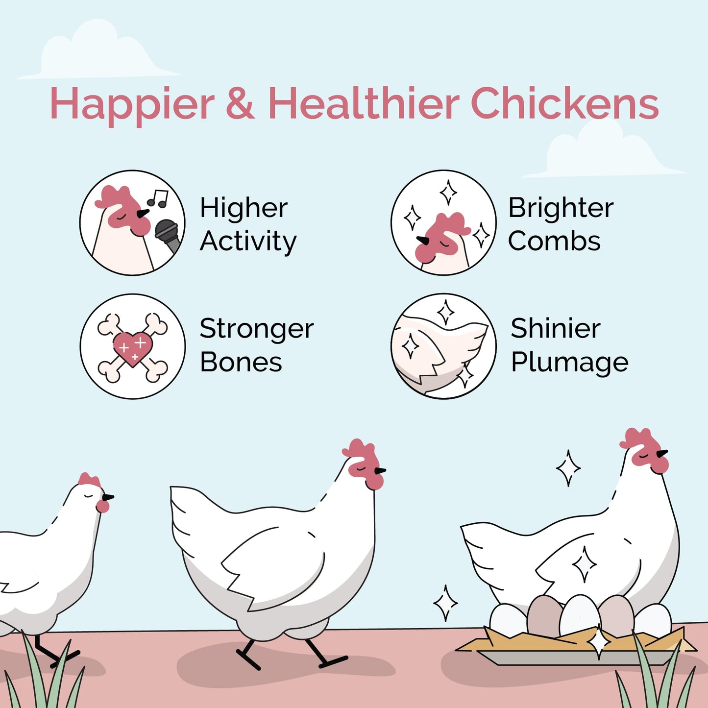 Mile Four Organic Chicken Feed – Layer Whole Grain, Non-GMO, USA Grown, 16% Protein, Corn-Free, Soy-Free, Non-Medicated Feed for Chickens, 2 lb Sample