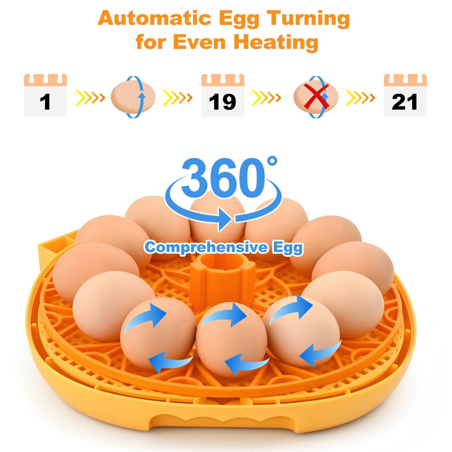 Egg Incubator for Hatching Chicks, Automatic Egg Turner Holds 12 Eggs, Smart Incubator 360° Clear Window with Temperature and Humidity Display Egg Candler for Small Poultry Ducks Quails Eggs