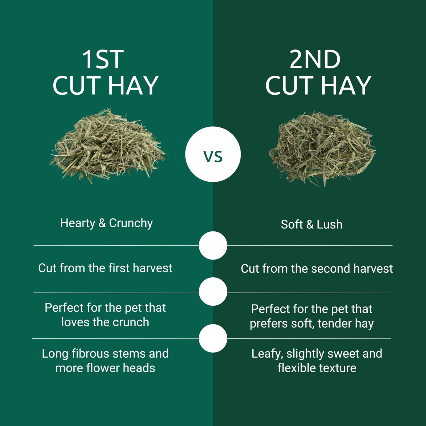 Kaytee First Cut Timothy Hay, High Fiber, Grown Specifically for Small Animals, Rabbits, Guinea Pigs, Chinchillas, 6.5 Pounds