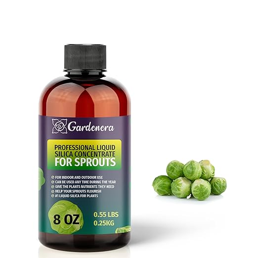 𝐏𝐑𝐄𝐌𝐈𝐔𝐌 Liquid Silica Plant Supplement - 8oz (250mL) - Sprouts Plants Liquid Silica Boost Fertilizer - Stronger Stems & Healthy Leaves for Indoor & Outdoor Sprouts Plants (Makes 45 Gallons)