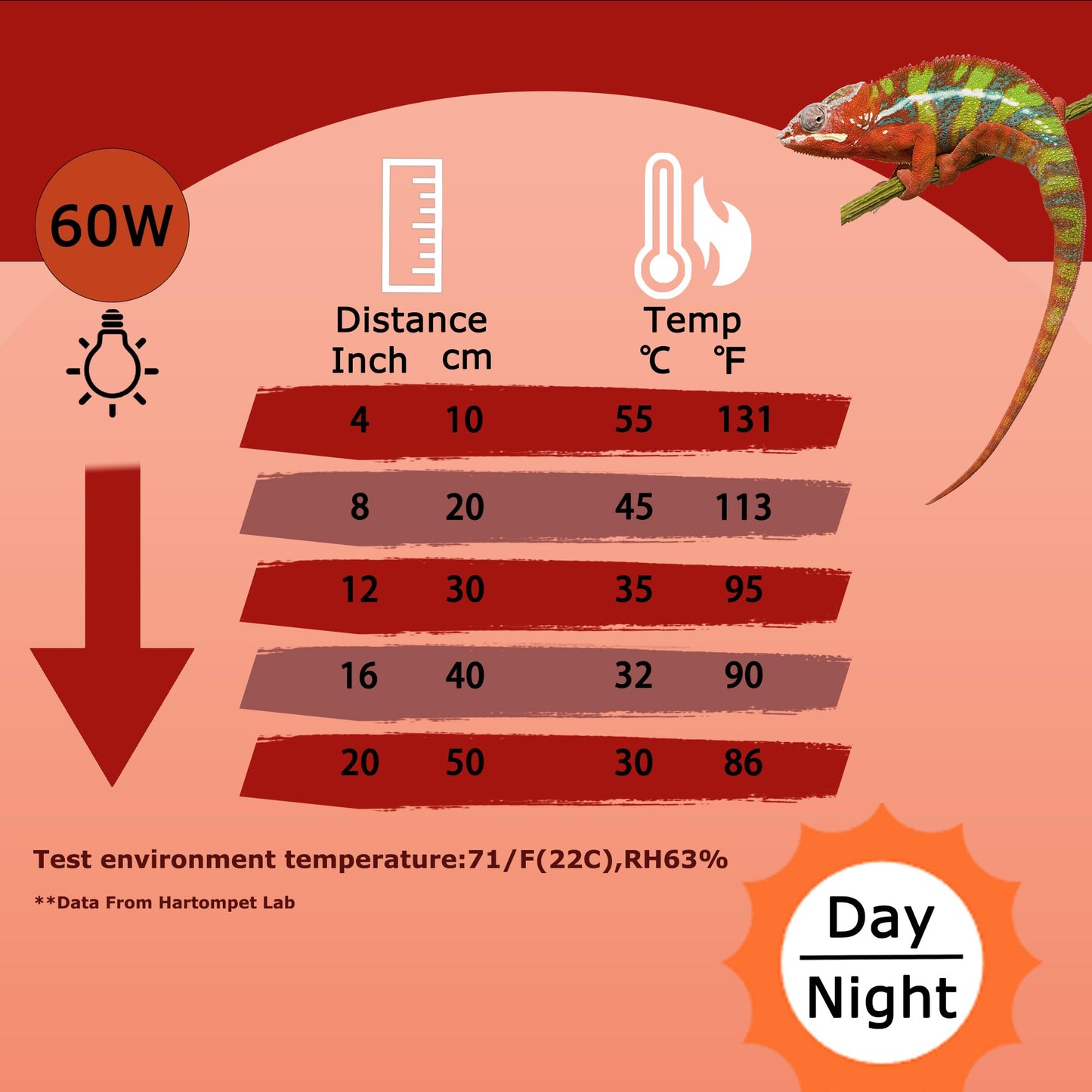 HARTOMPET 60W Infrared Red Heat Lamp – Basking Spot Bulb for Reptiles, Bearded Dragons, Chameleons, Snakes & Lizards; Ideal Red Heat Emitter for Chickens Coop and Brooder Use, E26 Base | 2 Pack