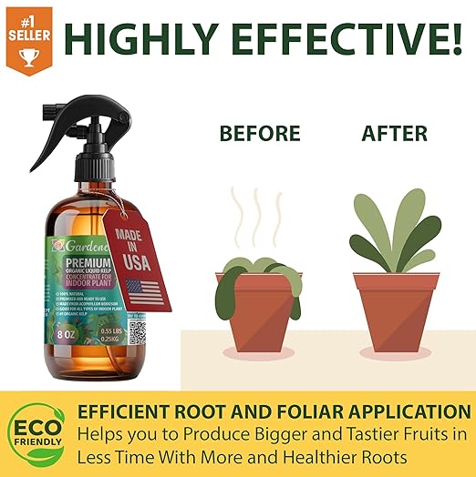 GARDENERA Professional Organic Liquid Kelp Spray for Citrus Trees Plants - 8 oz - Ready-to-Use Fully Organic Seaweed & Kelp Fertilizer Mist
