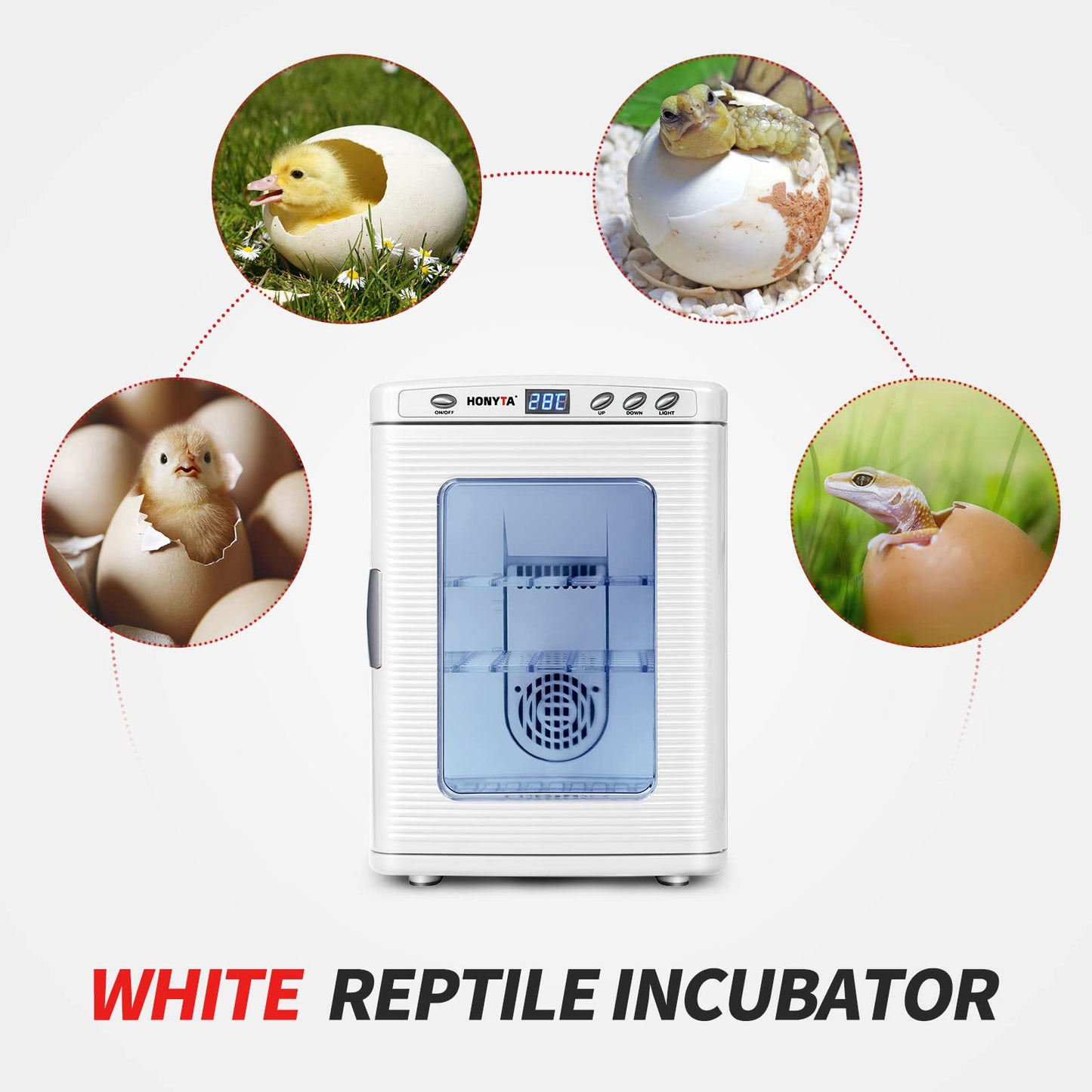 RYFT Incubators for Hatching Eggs, 25L Portable Reptile Scientific Lab Incubator with 5°C-60°C, 12V/110V Heating and Cooling for Small Reptiles (White)