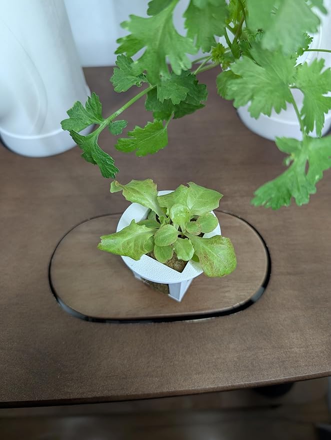 Grow Cubes for Hydroponic System/Compatible with Gardyn (20 Cubes+Rockwool)