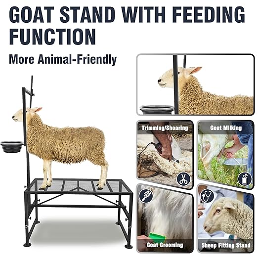 Goat Stand with Feed Bin for Milking, 600LBs Goat Trimming Stand, Livestock Table for Sheep Trimming Hoof and Milking, Iron Black, Adjustable Size