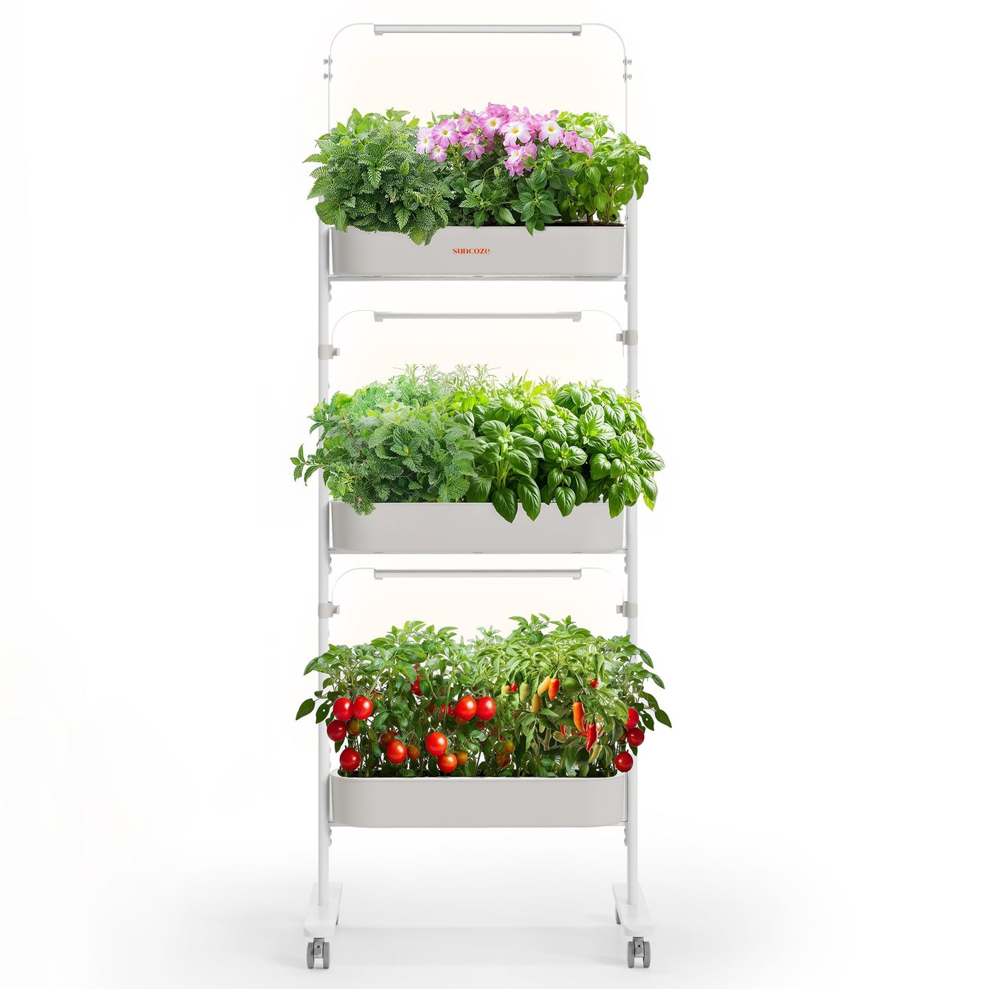 SUNCOZE 3-Tier Hydroponics Growing System Kit with 36 Pods – Full Spectrum Grow Lights, Hydroponic System Equipped with Smart Controller, Indoor Herb Garden Kit for Vegetables, Herbs, Fruits&Flowers
