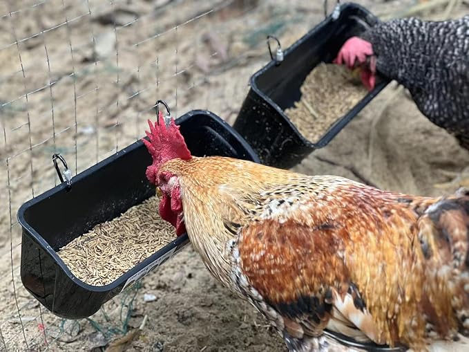 2 Pack Duck Chicken Feeder | Hanging Fence Feed Trough | Goose Turkey Water Trough with Clips | Livestock Feeding Container | Poultry Bucket | 5 Quarts in Total| Green