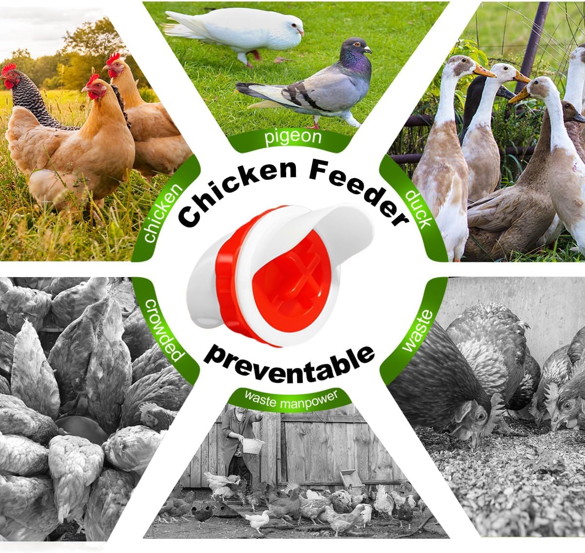 SuSuHan 10 PCS Chicken Feeder Port DIY Automatic Chicken Feeder, Poultry Feeder, No Waste, Rat-Proof, Waterproof