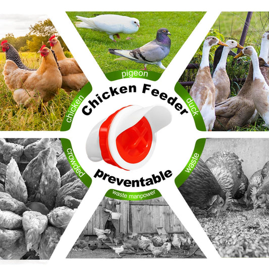 SuSuHan 10 PCS Chicken Feeder Port DIY Automatic Chicken Feeder, Poultry Feeder, No Waste, Rat-Proof, Waterproof