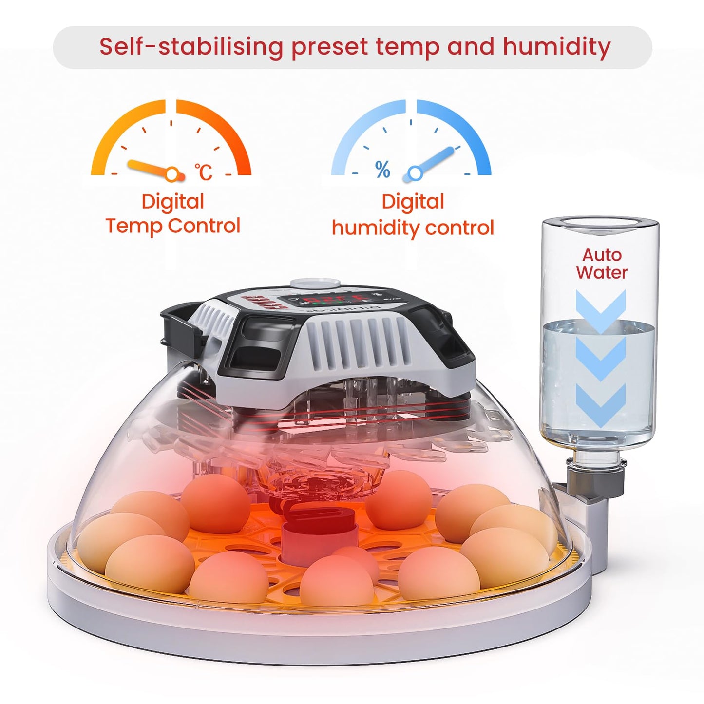 Incubators for Hatching Eggs with Automatic Humidity - MS12,Egg Incubator with Automatic Egg Turning and Digital Humidity Control to Hatch Chicken, Quail, Duck
