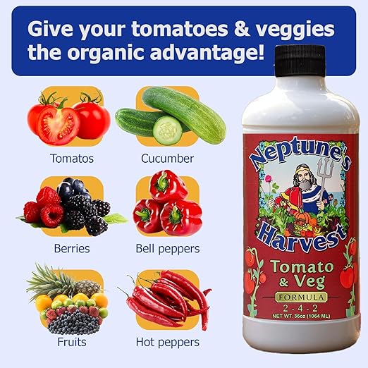 Neptune's Harvest Organic Plant Fertilizer | Liquid Fertilizer for Lawn, Garden & Houseplant | Rich in Essential Nutrients | Tomato & Veg 2-4-2 (Quart) + Fish & Seaweed Plant Food 2-3-1 (Quart)