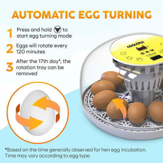 Okkobi M12 Egg Incubator with Automatic Turner and Humidity Control - 12/24 Eggs, 360° View, Easy to Use and Clean - Incubadora de Huevos de Gallina - Incubators for Hatching - White & Yellow