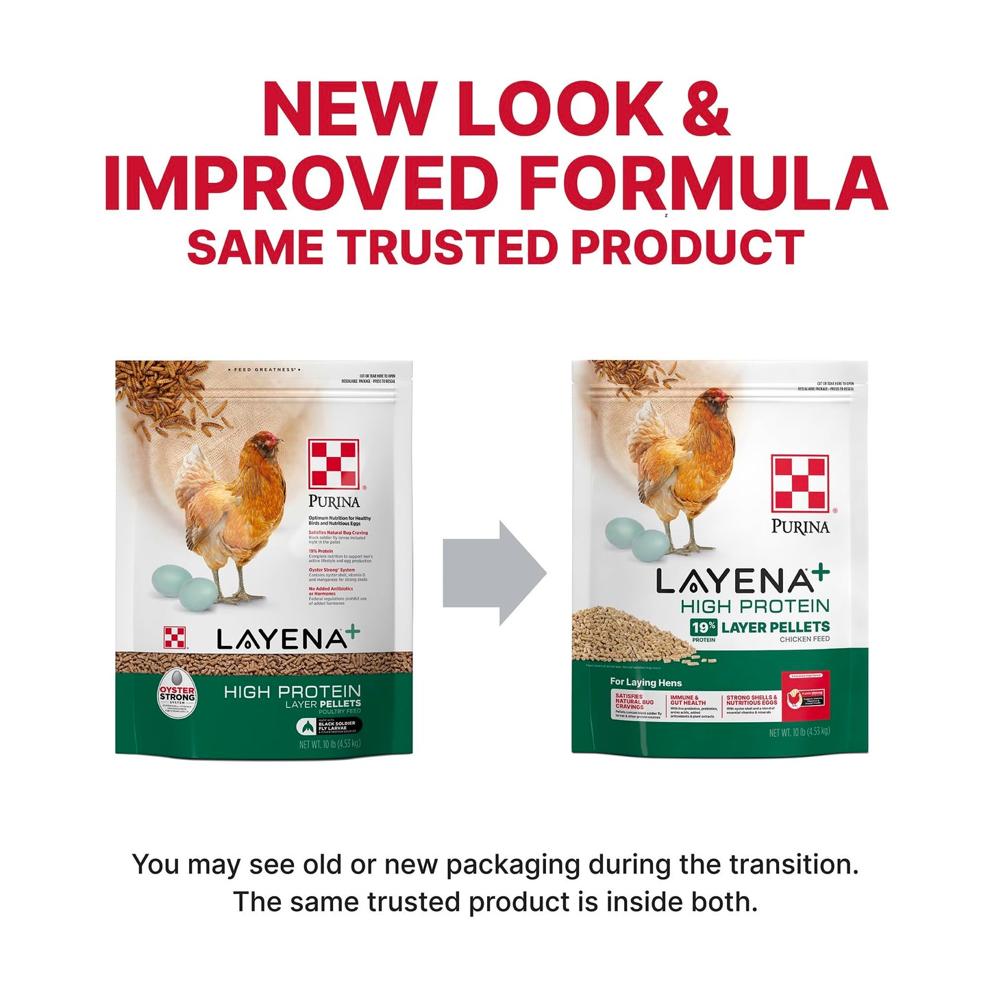 Purina Layena + High Protein Layer Chicken Feed (10 Pound)
