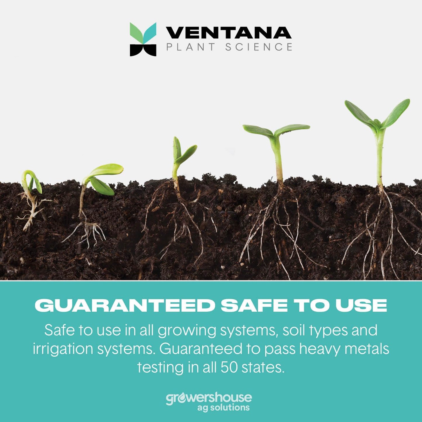 Ventana Plant Science VPS - FlaVUH 4X Concentrate (4-0-4) - 2.5 Gallons