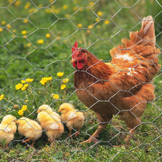 20GA Galvanized Hexagonal Poultry Netting Chicken Wire 60 inches x 150 feet x 2 inches Mesh
