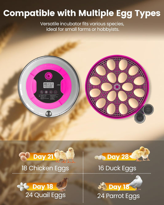 Incubator for Hatching Eggs, 18 Eggs Capacity, Incubators with Egg Candler, Automatic Egg Turner, Temperature & Humidity Control, Full Viewing for Chicken, Duck, Quail, Goose, Parrot, Pigeon