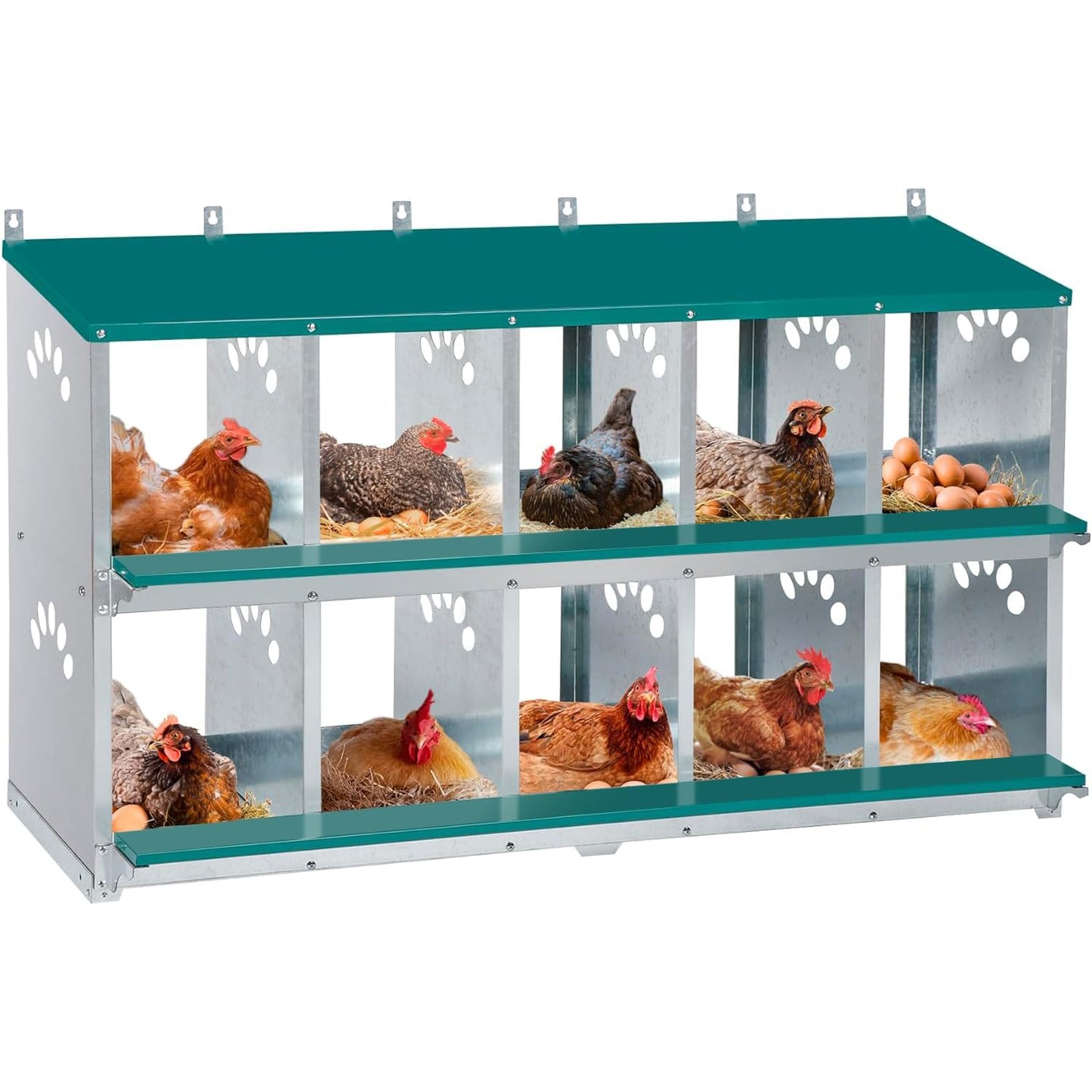 Toriexon Chicken Nesting Box, 10 Compartment Nesting Box, 10 Room Metal Nesting Boxes for Chicken, Green