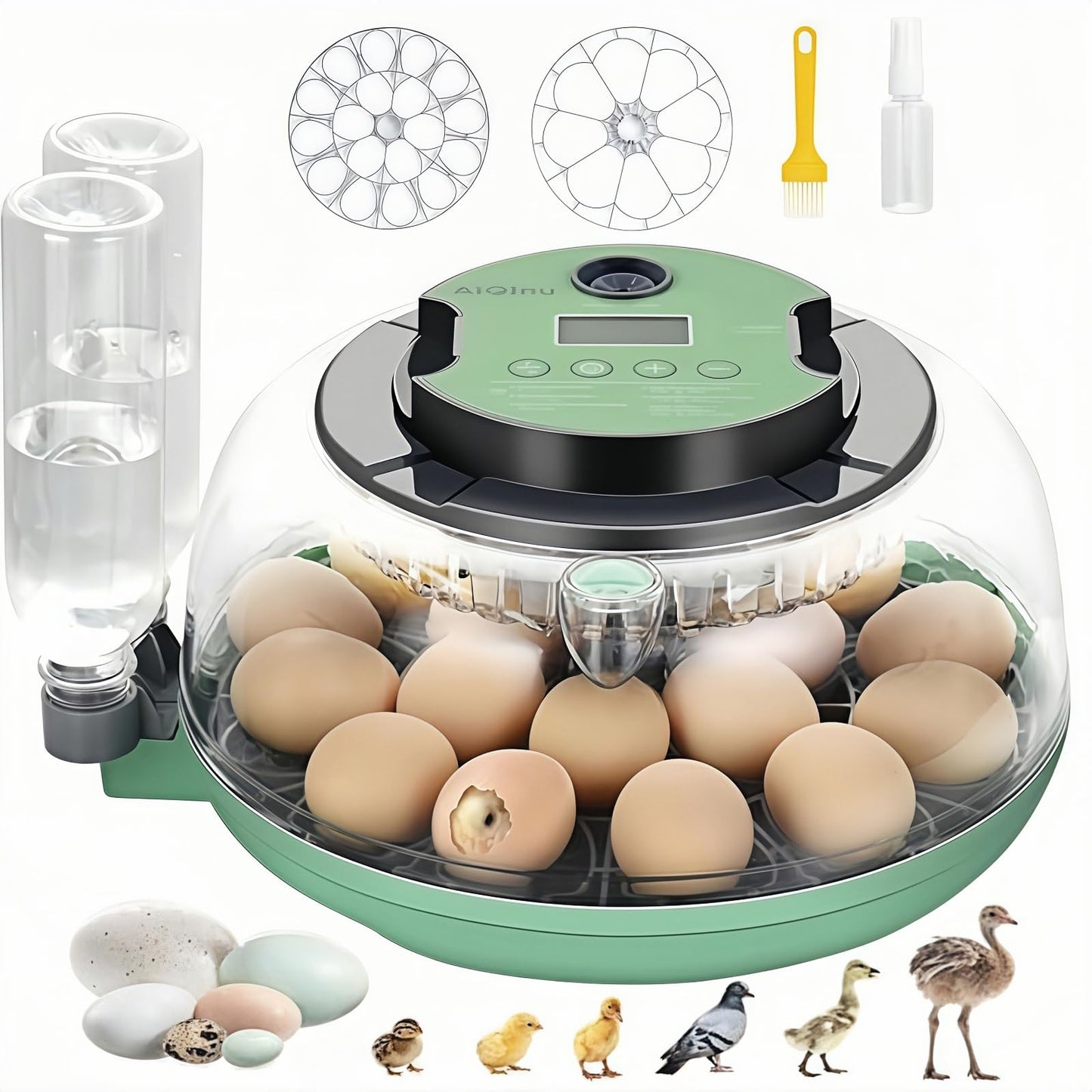 18 Egg Incubator with Automatic Egg Turning and Humidity Control - Egg Incubator for Hatching Eggs Chicken Duck Goose Quail Turkey Parrot, Fit for Farm, Lab, Science Classroom, Home（Green）