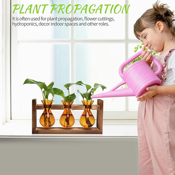 Plant Propagation Station Plant Terrarium Unique Birthday Gifts for Women Home Office Decor Planter with Wooden Stand - 3 Bulb Glass Vase