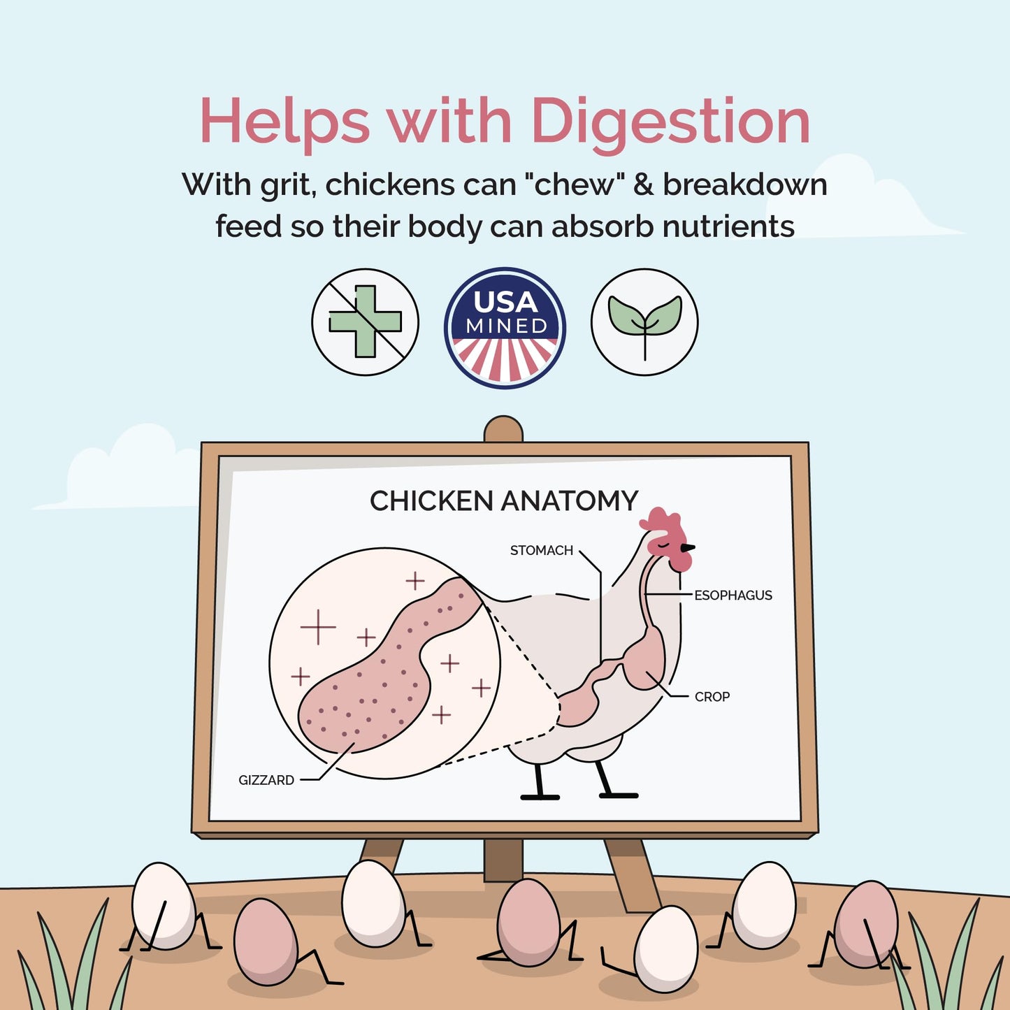 Mile Four Chicken Grit for Layer & Grower Chickens Age 8-20+ Weeks - 100% Natural Mineral Chicken Grit Quartzite, Poultry Grit, USA Mined, 4 lbs