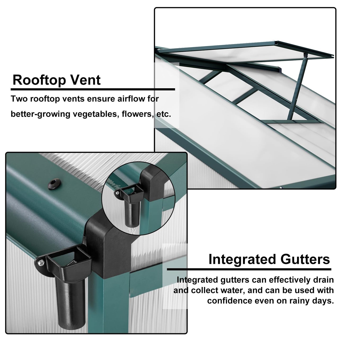 Garvee 6x8 FT Greenhouse for Outdoors, Polycarbonate Greenhouse with Quick Setup Structure and Roof Vent, Aluminum Large Walk-in, for Outside Garden Backyard, Green