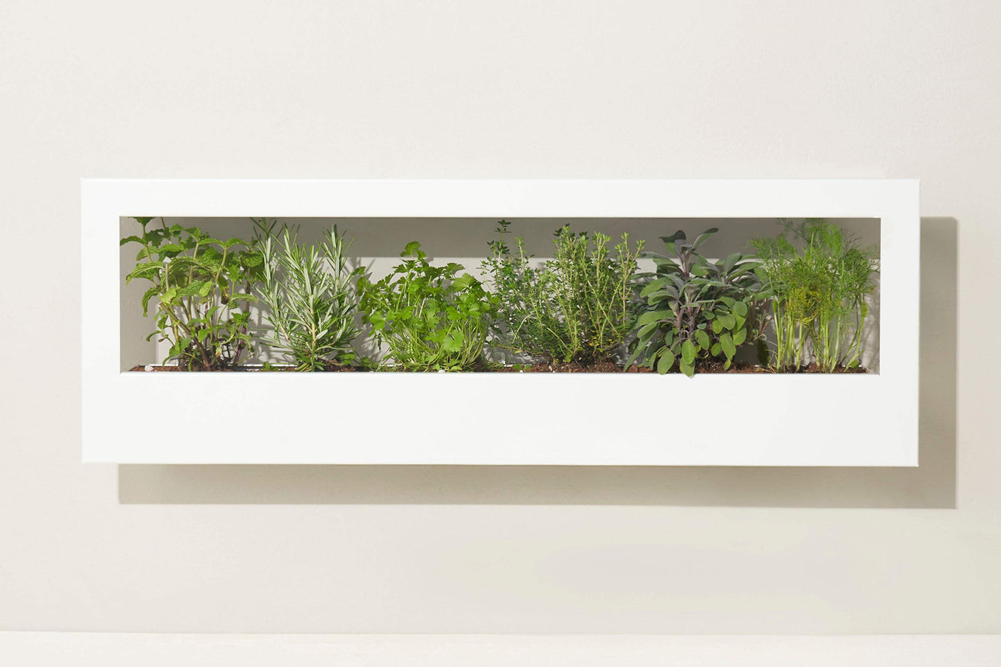 Modern Sprout Smart Landscape Growframe Wall Mounted Planter with LED Grow Light -White