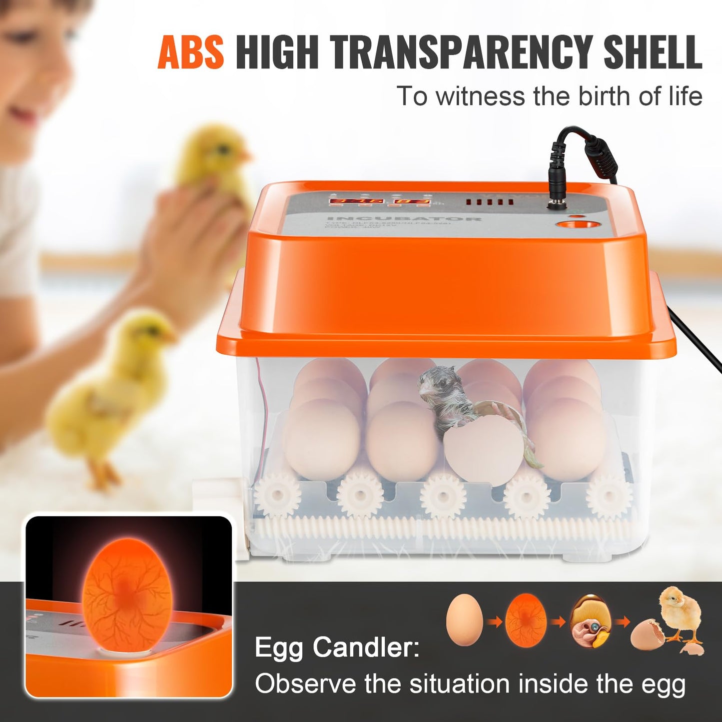 VEVOR 12 Egg Incubator, Incubators for Hatching Eggs, 360° Automatic Egg Turner with Temperature and Humidity Display, 12 Eggs Poultry Hatcher with ABS Transparent Shell for Chicken, Duck, Quail