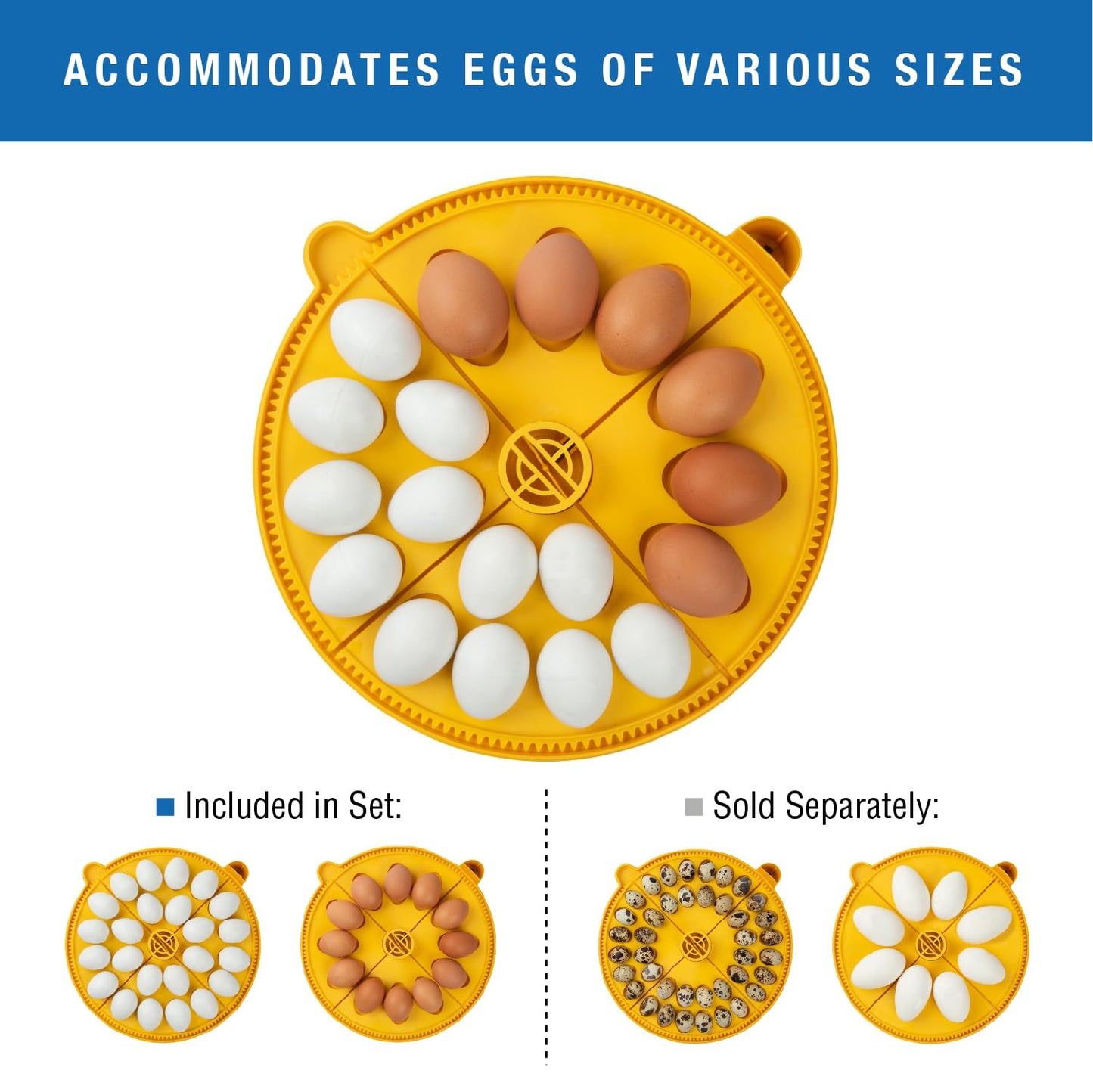 Brinsea Maxi 24 Advance Egg Incubator with Automatic Egg Turning and Temperature Control for Hatching 24 Chicken, Duck, or Other Eggs,- Optimal Flexibility with Mix & Match Sizes
