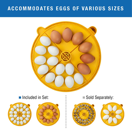 Brinsea Maxi 24 Advance Egg Incubator with Automatic Egg Turning and Temperature Control for Hatching 24 Chicken, Duck, or Other Eggs,- Optimal Flexibility with Mix & Match Sizes