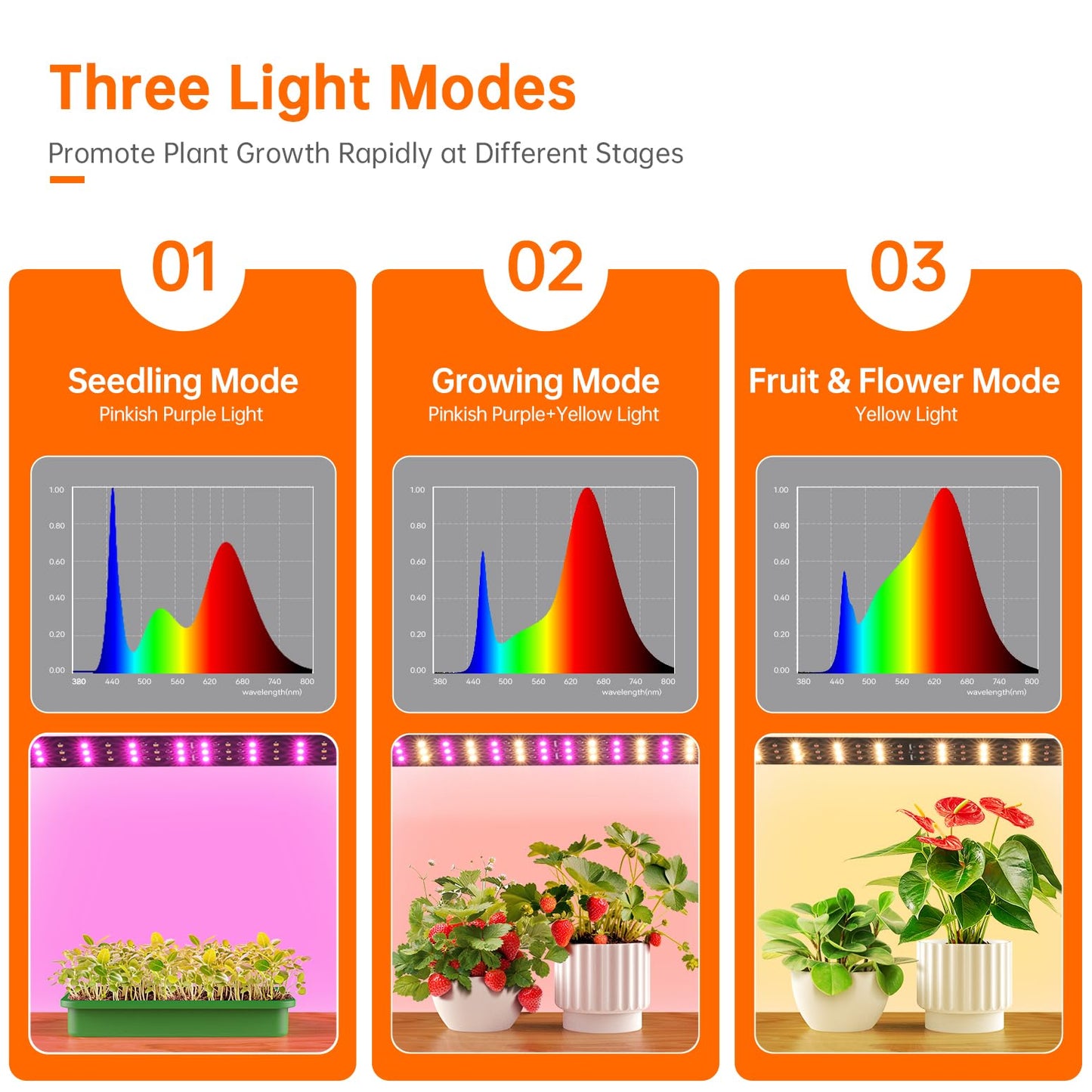 Bstrip Walk In Greenhouse, Indoor Greenhouse with Grow Lights, Mini Indoor Greenhouse with Roll-Up Zipper Entry Door and PVC Cover, Dimmable 2FT 120W Plant Light with Timer (56.3"W X 56.3"L X 76.8"H )