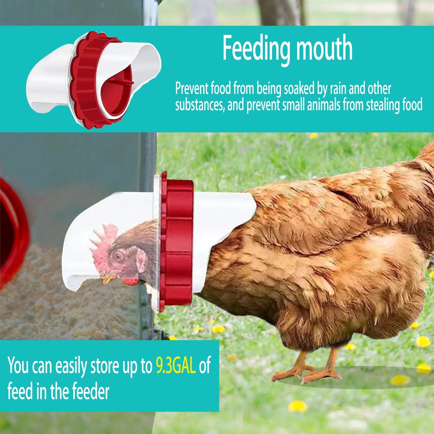 50 lb Automatic Chicken Feeder 6 Port, No Waste Poultry Pro Feeder with Legs, Rodent Proof Chicken Feeder, Weatherproof No Mess No Spill Galvanized Chicken Supplies 9.3 Gallon