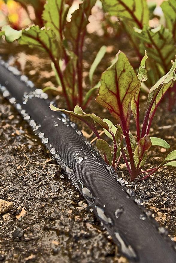 Rocky Mountain Goods 25 Foot Flat Weeper Soaker Hose - Drip Irrigation - Double Layer Design - Saves 70% Water - Consistent Drip Entire Length of Hose - Includes 3 Pressure Reducing Discs