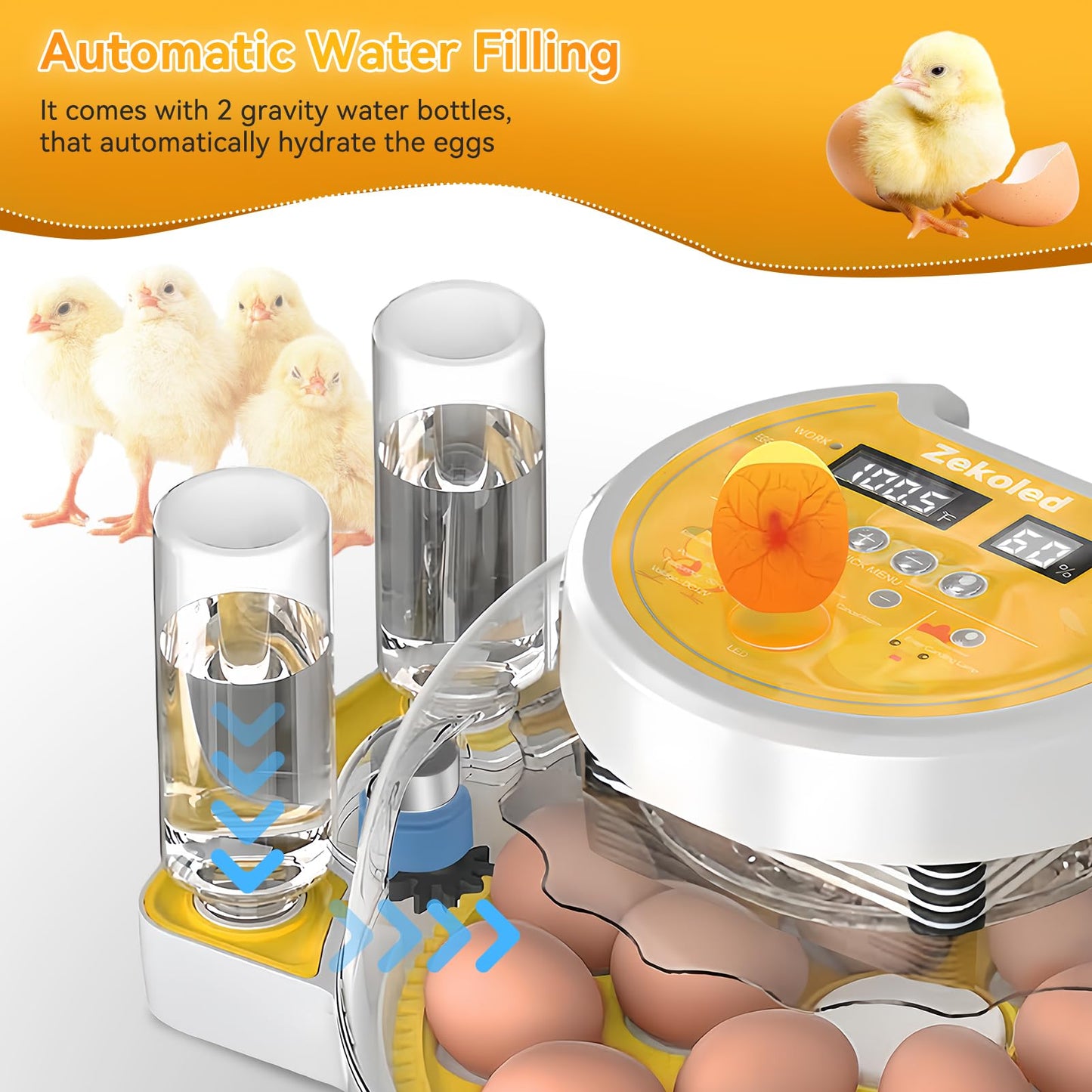 Zekoled Incubators for Hatching Eggs, Incubator with Automatic Egg Turning and Humidity Control, 18 Egg Poultry Incubator with Automatic Water Adding, Viewing for Chicken, Duck, Quail, Goose, Parrot
