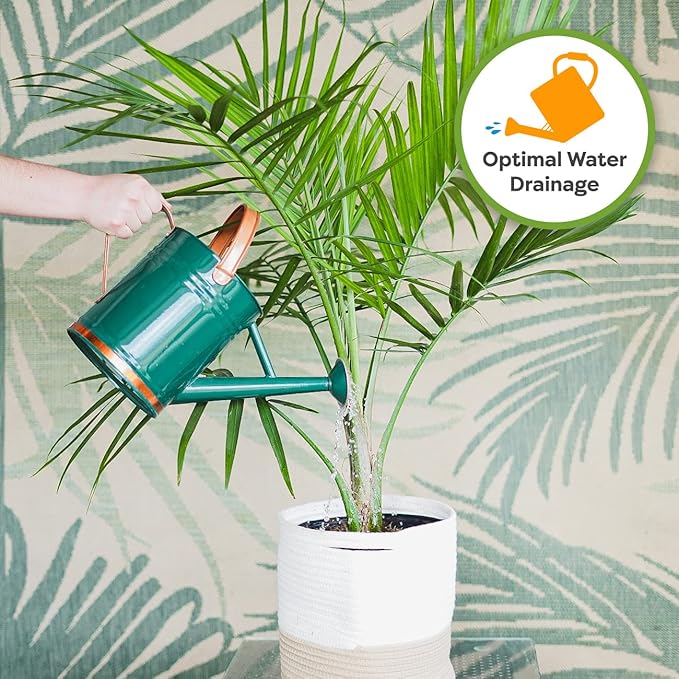 Perfect Plants Indoor Plant Soil 4qt | Perfectly Balanced Potting Mix | Gardening Substrate for All Varieties of Live houseplants