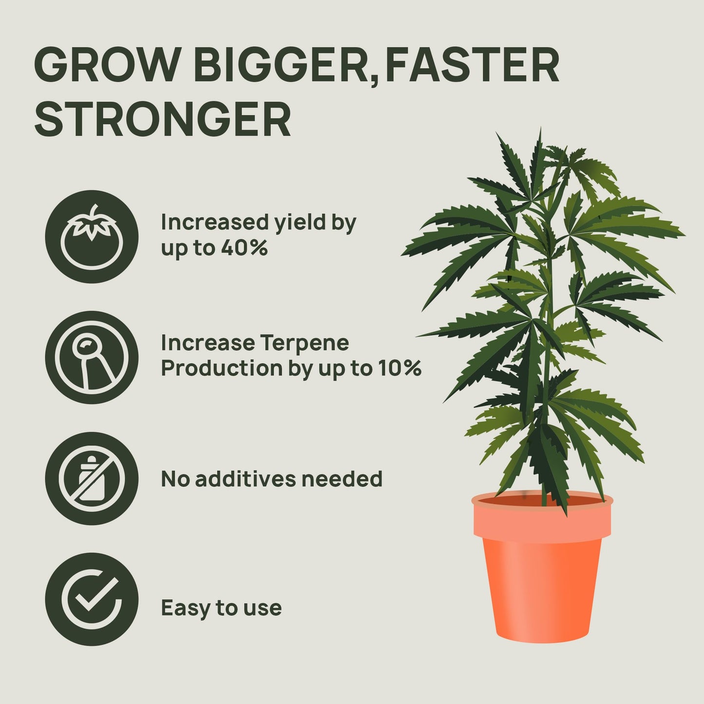 Strive Fertilizer Part A Package - Veg + Bloom General Hydroponic Nutrients - Premium Indoor, Outdoor and Soil Growing Plant Food - Enhancer - Booster for Vegetables, Succulents, Flowers & More