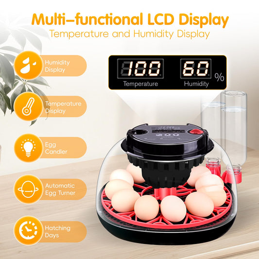 Incubator for incubating Eggs,12 Egg with Temperature and Humidity Control, Automatic Egg Turner, Egg Candler, External Water Bottle Refill, 360° Clear View, Hatching Chicken Duck Quail Bird