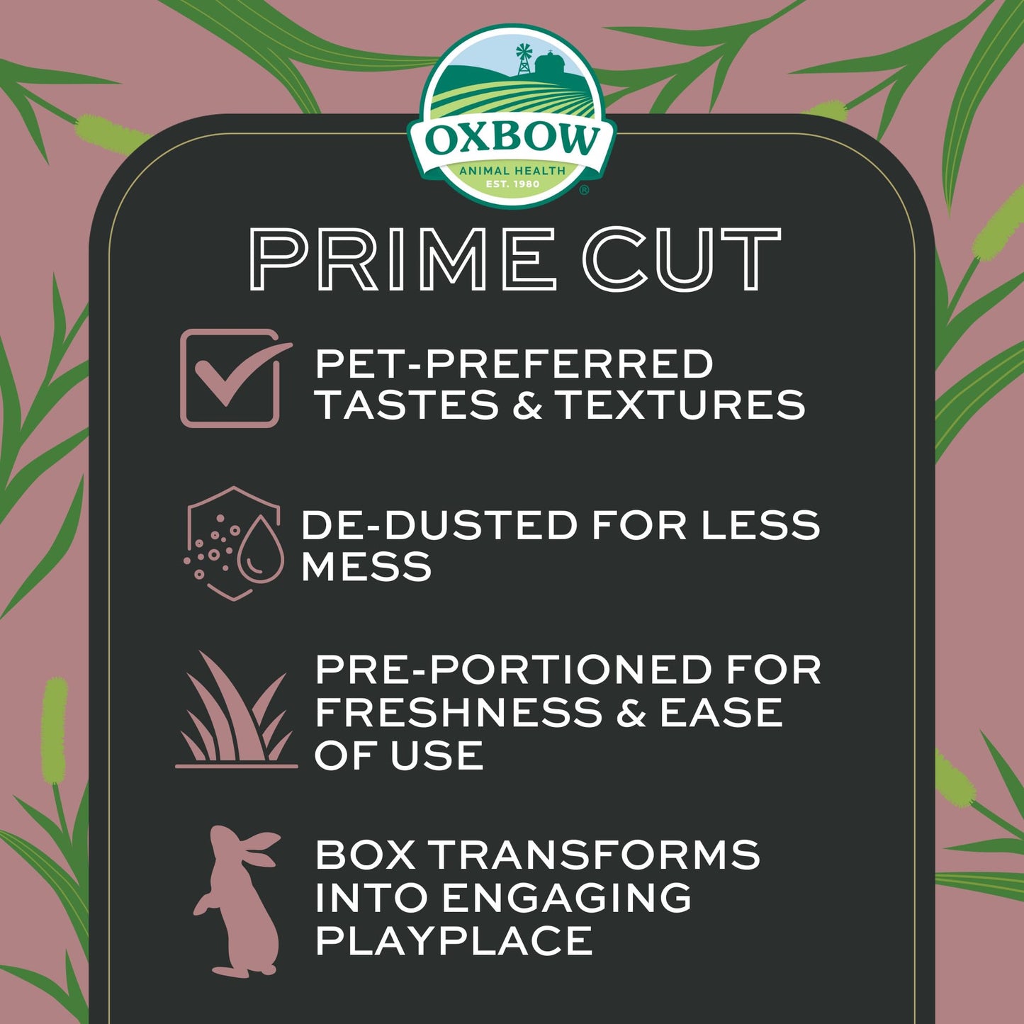Oxbow Prime Cut Soft & Lush Timothy Hay, Premium Hays for Rabbits, Guinea Pigs, and Chinchilla, High-Fiber Hay, Rabbit Dental Health, 20oz