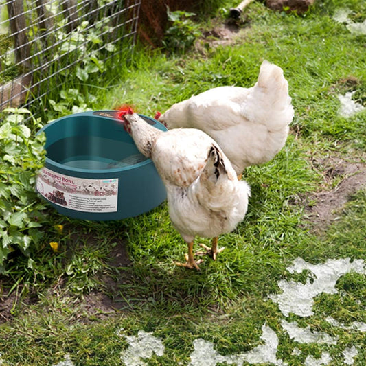 Namsan Heated Water Bowl for Cats Outdoor, 2.2L, Heated Pet Bowls for Chickens Rabbits Farm Animals, Heating Dog Bowl Ice Free in Winter, Thermal-Bowls Warm Water Bird Bath Dish, Green