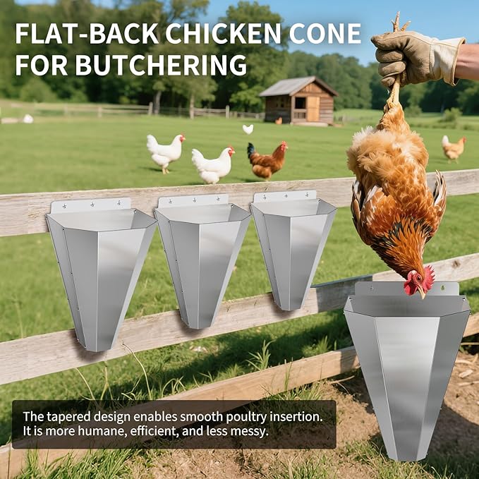 Large Chicken Cone for Butchering, Stainless Steel Kill Cone with Safety Gloves, Flat-Back Design, Chicken Processing Equipment for Farm and Backyard Poultry Up to 18 lbs (Silver)