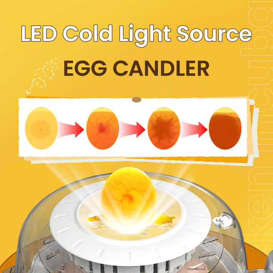 DEZHXHE 8 Egg Incubators for Hatching Eggs, Automatic Egg Turner and Egg Candle Tester, 360 Degree View, Farm Poultry Egg Incubators for Chicken Duck Goose Quails Eggs