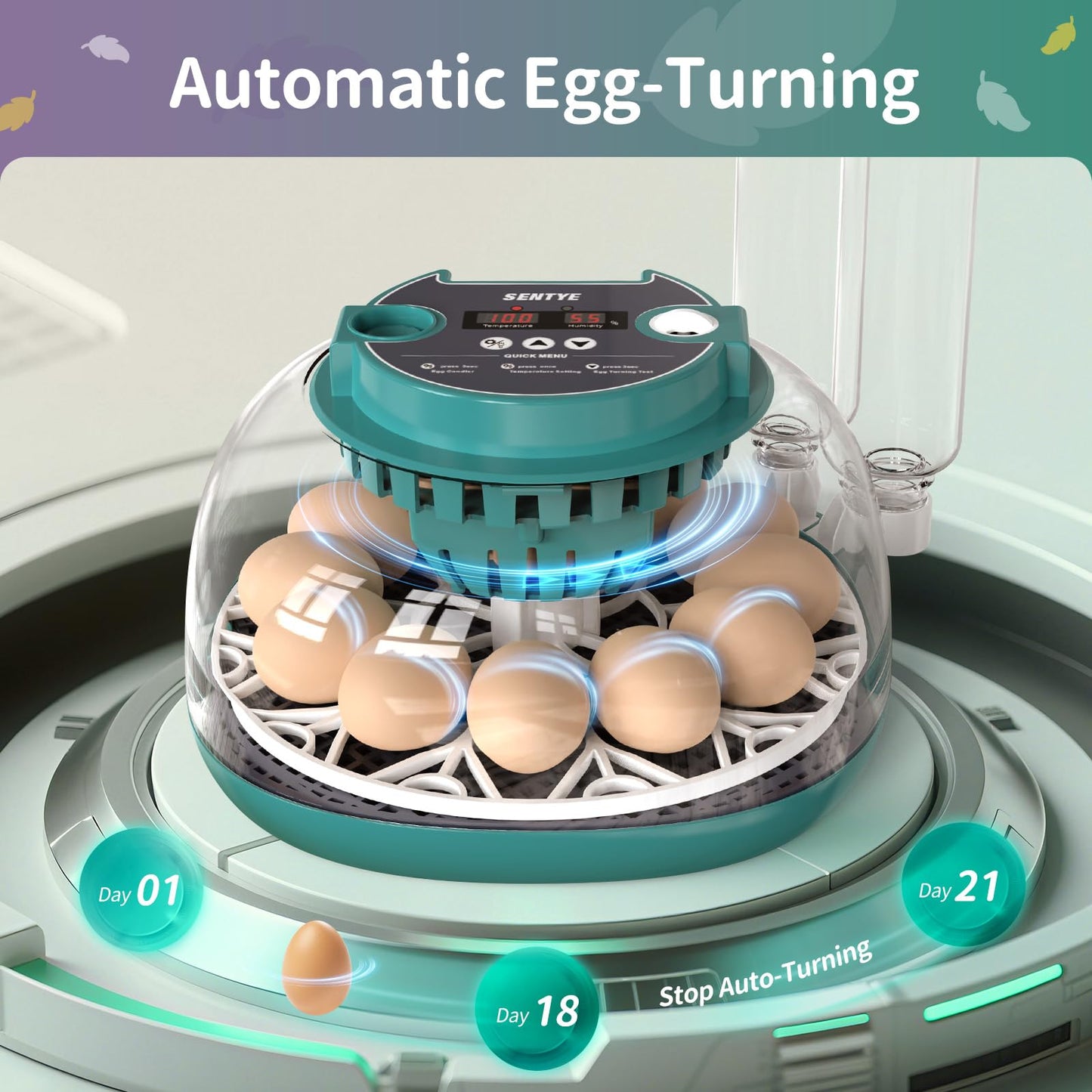 12 Egg Incubator with Automatic Egg Turning and Humidity Control, Egg Incubators for Hatching Eggs, Incubator for Chicken Eggs, Quail Eggs