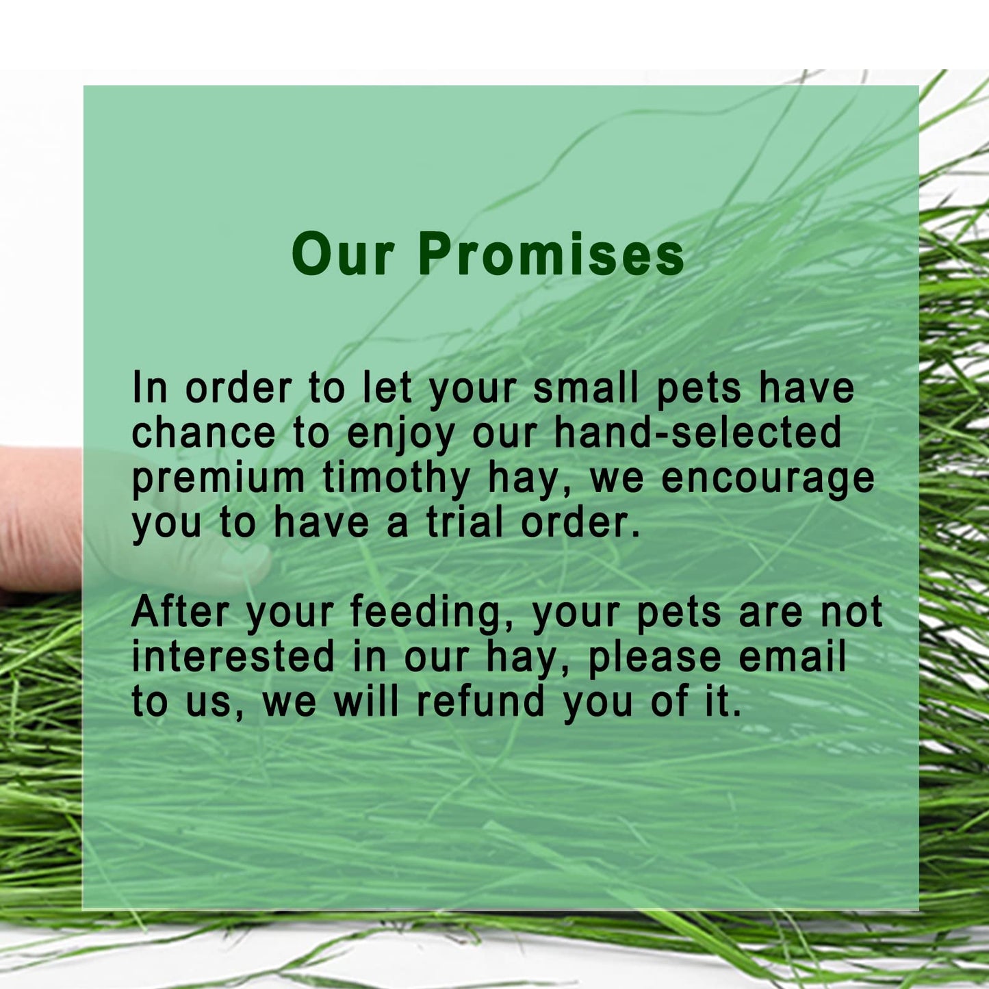 Ohcool Timothy Hay 1.1LB - Dust Free Natural Green Fresh Food Hay for Rabbits Tortoise Guinea Pig Chinchilla