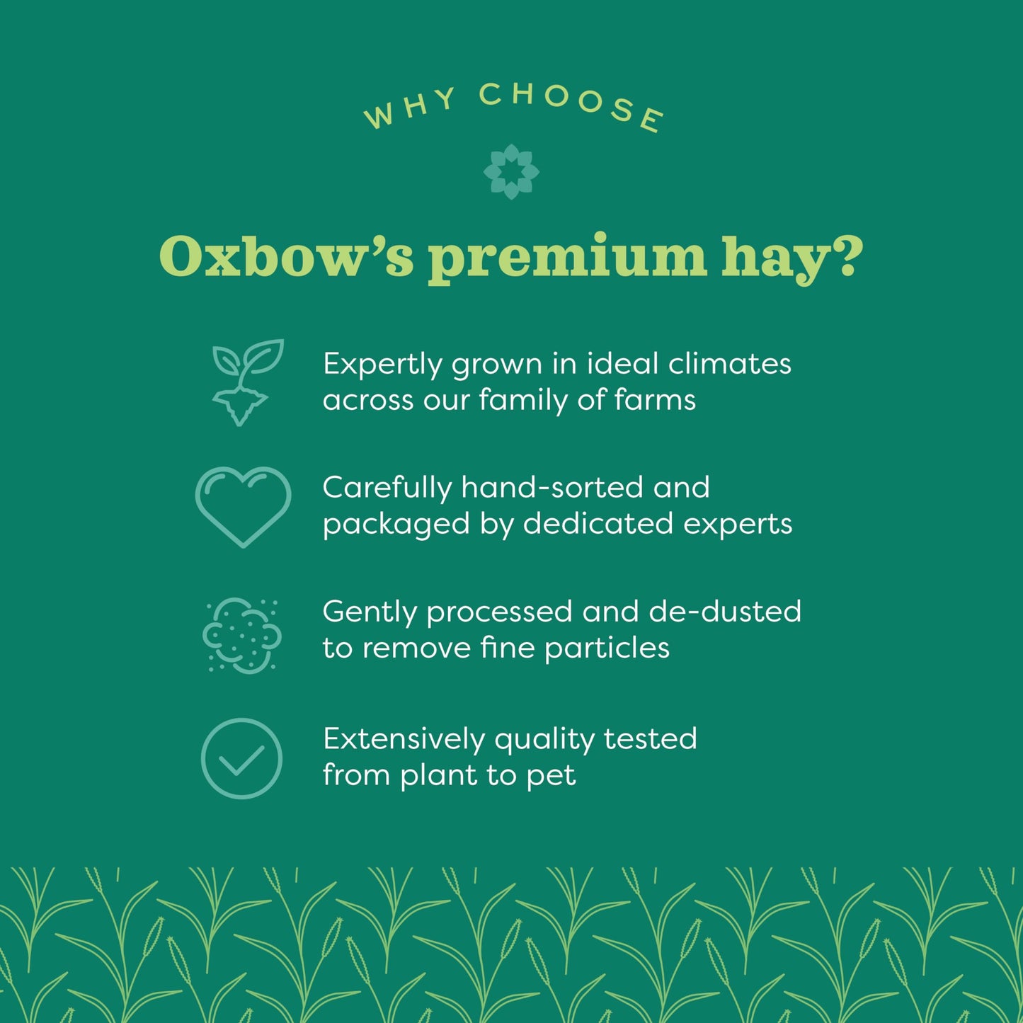 Oxbow Animal Health Western Timothy Hay, Bunny Food, All Natural Hay for Rabbits, Guinea Pig, Chinchillas, Hamsters & Gerbils, Rabbit Treats, Veterinarian Recommended, 15 oz.